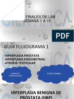 Finales FP Lab - Semana 1 A 15