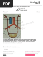 (Worksheet 6.2) - (Life Processes)