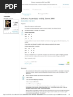 Columna Acumulada en SQL Server 2008