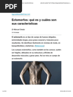 PLan Ectomorfo