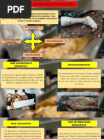 Quimica de La Putrfaccion