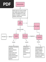 SEMIPRESIDENCIALISMO Mapa