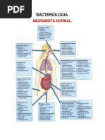 Bacteriologia Tema 3