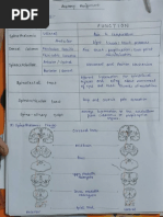 Ascending Tracts by Anmol (Ak)