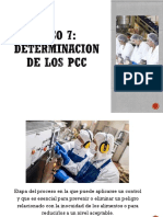 Haccp Paso 7