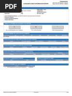 Consumer Credit Information Report