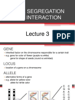 Genetics Lecture 3 Gene Segregation and Interaction