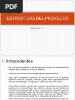 Capitulo I Identificacion y Justificacion Del Proyecto