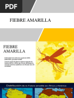 Fiebre Amarilla