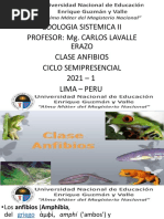 11va Clase Anfibios