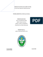 Informe Prueba Hedónica de Escala Facial Unag