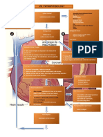 Viii. Pathophysiology