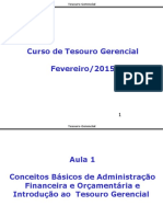 Curso Tesouro Gerencial - Fev2015