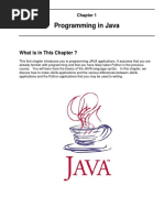 Programming in Java: What Is in This Chapter ?