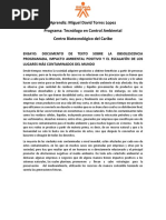 Ensayo Documento de Texto Sobre La Obsolescencia Programada, Impacto Ambiental Positivo y El Escalafón de Los Lugares Más Contaminados Del Mundo