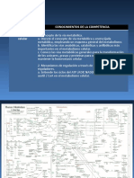 Fundamentos Del Metabolismo Celular