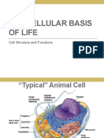 The Cellular Basis of Life: Cell Structure and Functions