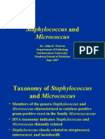 07-Staphylococcus and Micrococcus v1 - 3