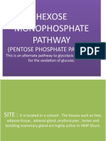 Pentose Phosphate Pathway