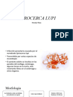 Spirocerca Lupi y Criptosporidium