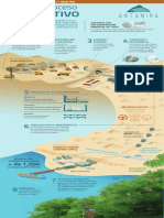 Infografia Proceso Productivo Antamina