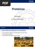 04 Presentacion Proteinas