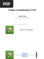 Vision Transformer (Vit) : Shusen Wang