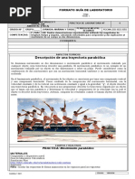 Guia Lab Parabolico