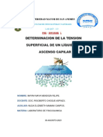 Determinacion de La Tension Superficial de Un Líquido Por Ascenso Capilar