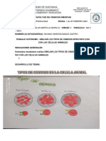 TRABAJO AUTONOMO Dibujar Los Tipos de Osmosis Hiper Hipo e Iso Con Las Células Animales