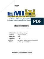 Resumen de Video Medio Ambiental