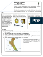 Composicion de Los Huesos