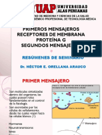 Primeros Mensajeros Receptores de Membrana Proteína G Segundos Mensajeros