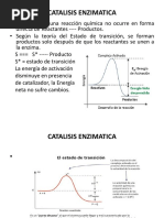 2-08-2021-Cinetica Enzimatica-Ing. Quimica