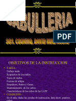 PDF Documento