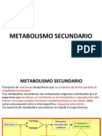 Metabolismo Secundario