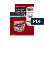 Guide To The Dissection of The Dog, 8th Edition