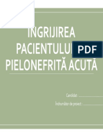 Îngrijirea Pacientului Cu Pielonefrită Acută - Prezentare