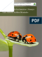 Ensayo Importancia de Los Insectos