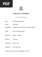 Attachment Report Sample