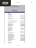 Balance Sheet: PT Garuda Tech