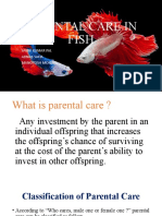 Parental Care in Fish