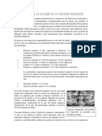 Desarrollo de La Oclusión en La Dentición Permanente