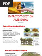 Impacto y Gestion Ambiental 1