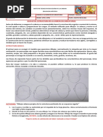 Guia N°02: Estructura de La Cabeza en Caricaturas