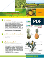 ANANAS Conduite Agroecologique 2017