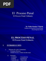 El Proceso Penal Didactico