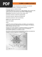 Clinica Ginecologica