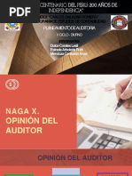 Naga X. Opinion Del Auditor