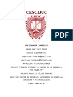 Ensayo Cambios Sociales A Partir de La Pandemia Por Covid-19